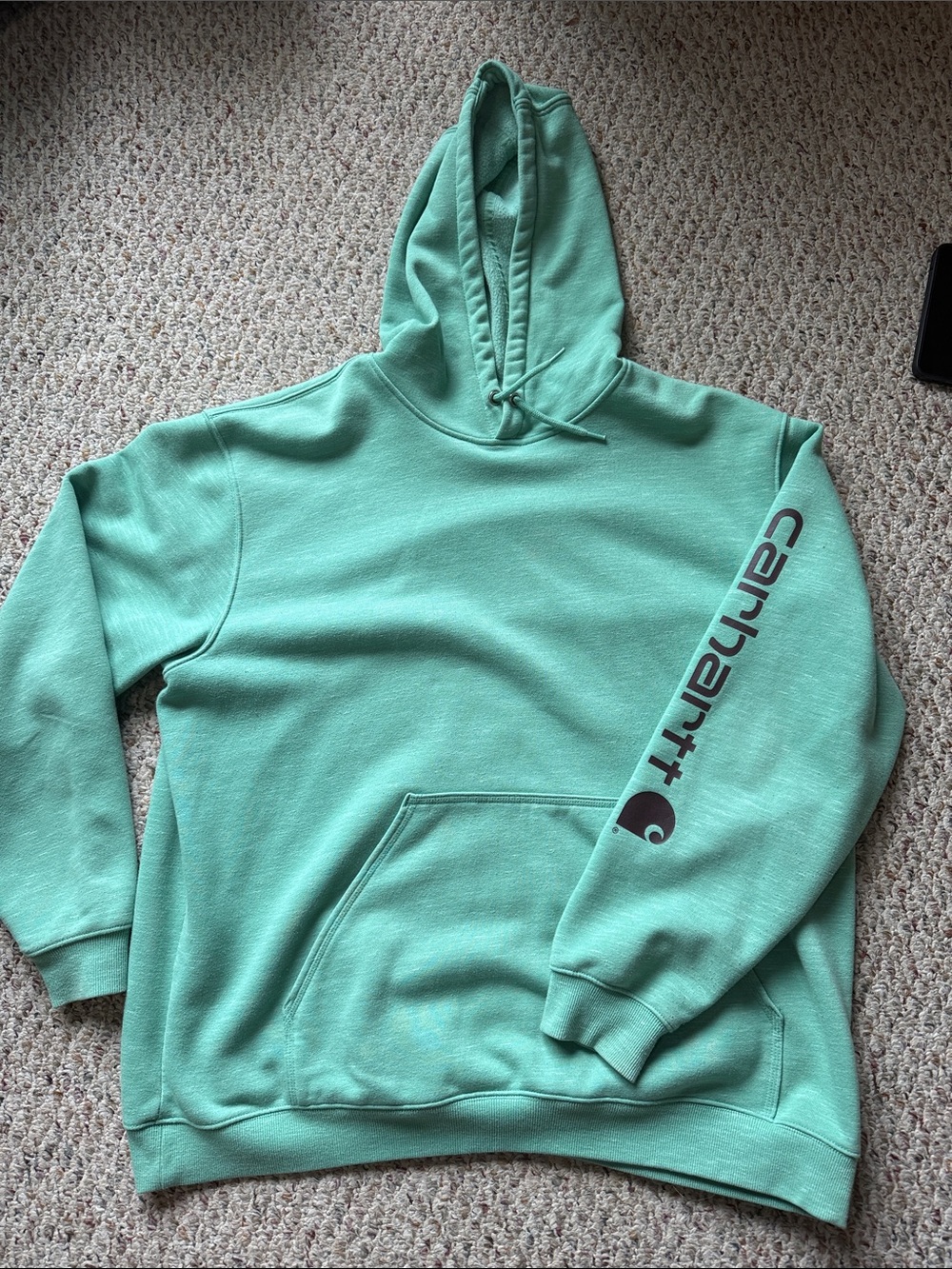 Carhartt Seafoam Green Pullover Hooded Sweatshirt - Men's
